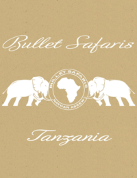 Bullet-Safaris-yellow